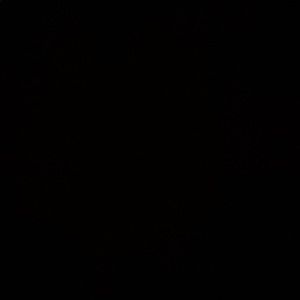 Meet your Posher, Kylie